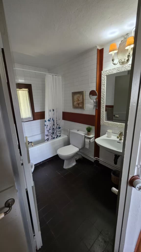 Bathroom with bathtub and classic fittings