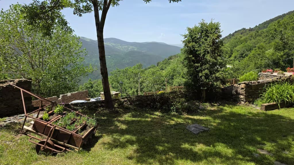 Garden edge looking into the forested valley